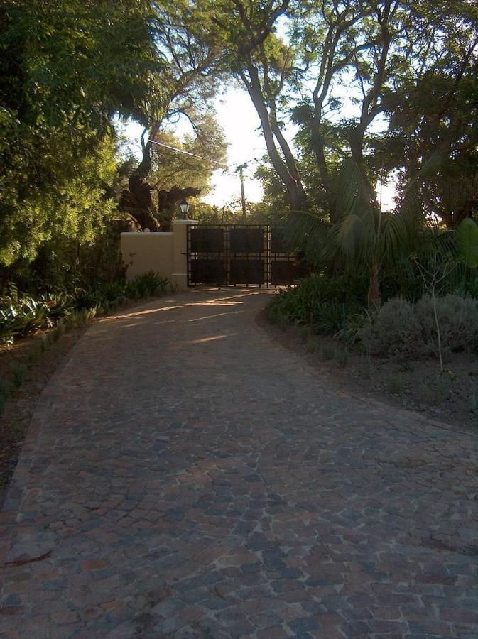 Guest house Serena Cape Town